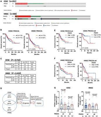 FSCN1 Promotes Radiation Resistance in Patients With PIK3CA Gene Alteration